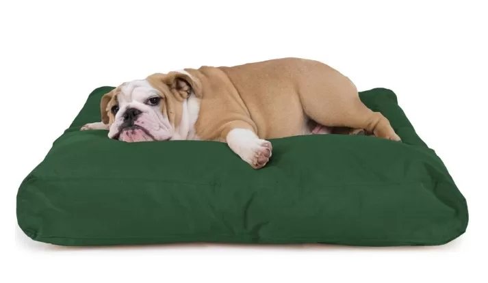 Dog Beds for Chewers and Aggressive chewers