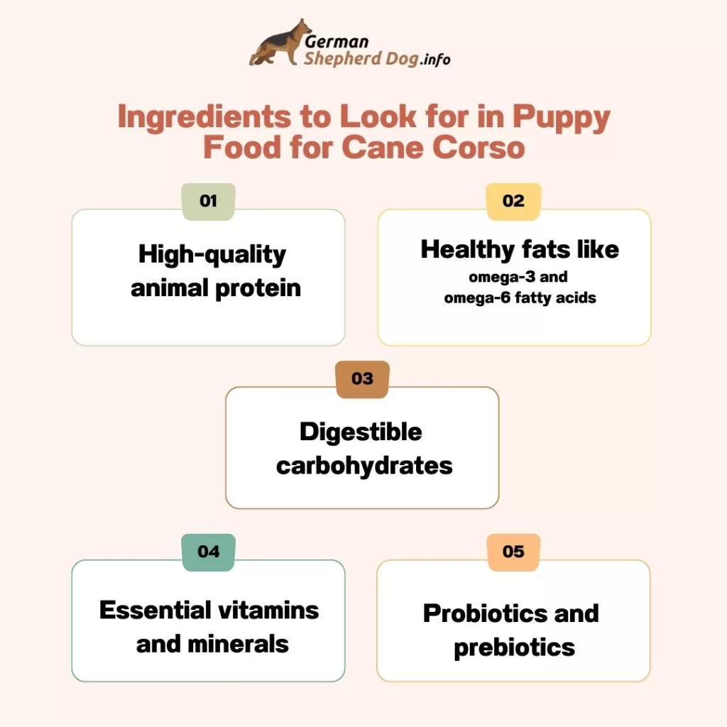 Ingredients-to-Look-for-in-Puppy-Food-for-Cane-Corso