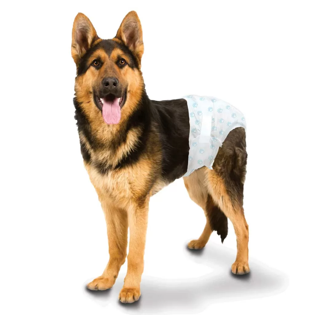 disposable female dog diapers