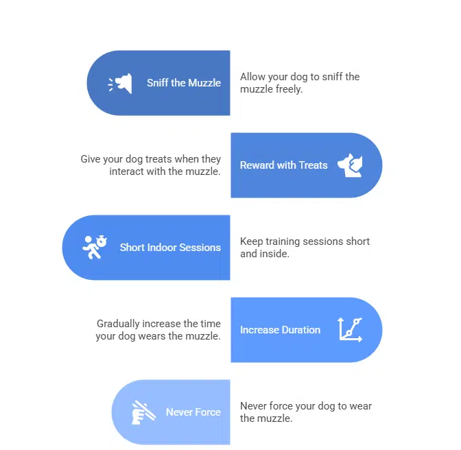 Best Muzzles for German Shepherd Dogs (2026 Buyer’s Guide – USA) Best Muzzles for German Shepherd Dogs (2026 Buyer’s Guide – USA)