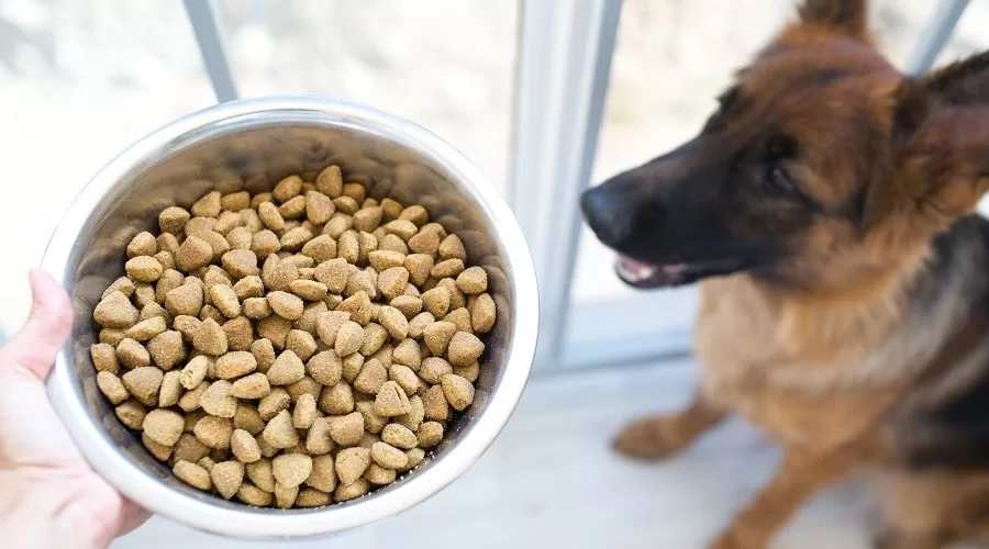 Nutrition for Growing Pups