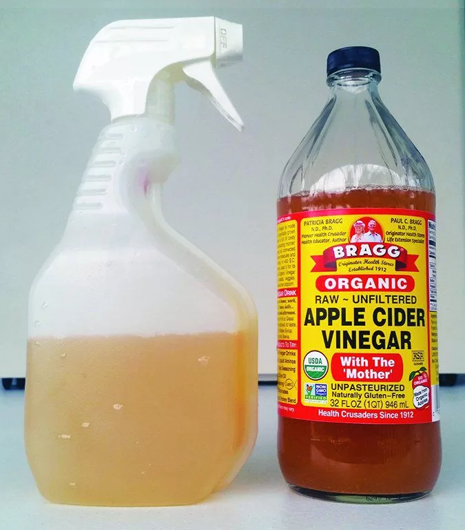 Apple Cider Vinegar Dry Dog shampoo