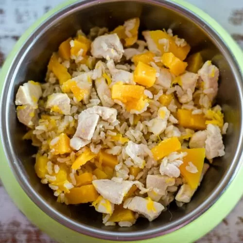 Boiled chicken and rice for dogs