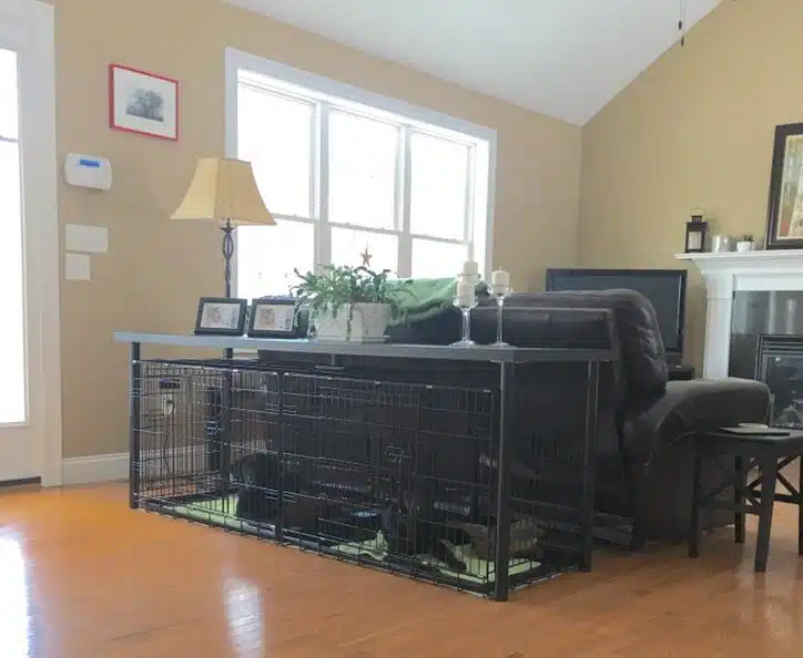Double-Dog-Crate