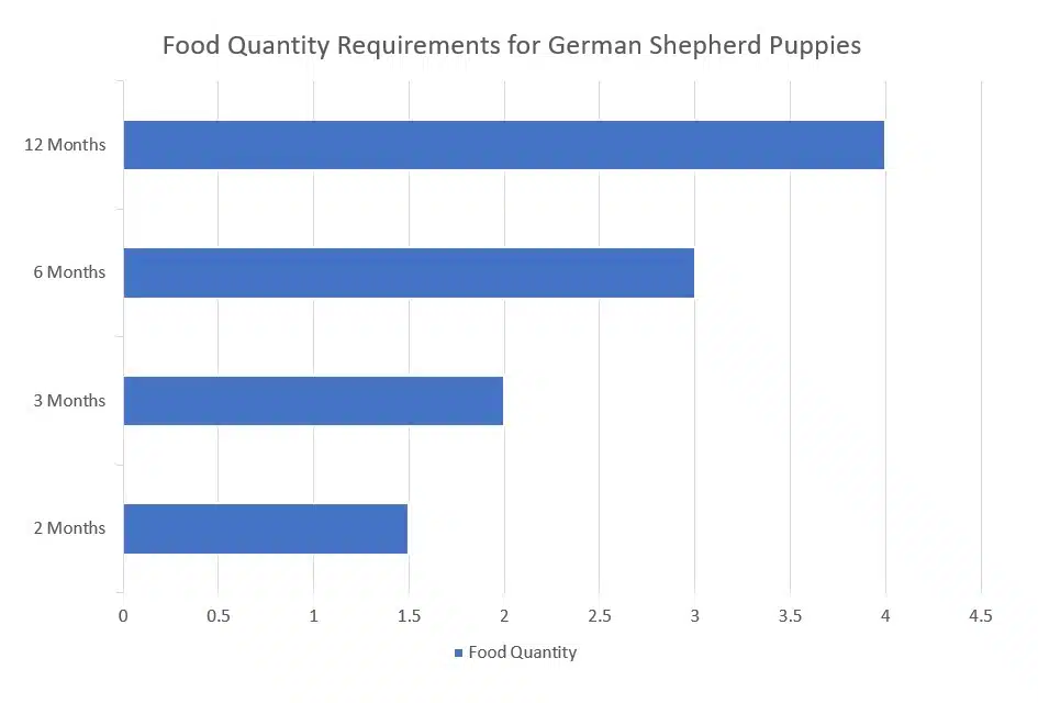 German shepherd Puppy feeding Chart: 1 Month to 12 Months