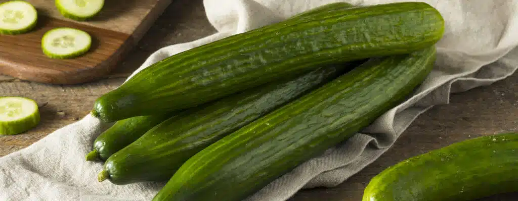 Cucumbers-for-dogs