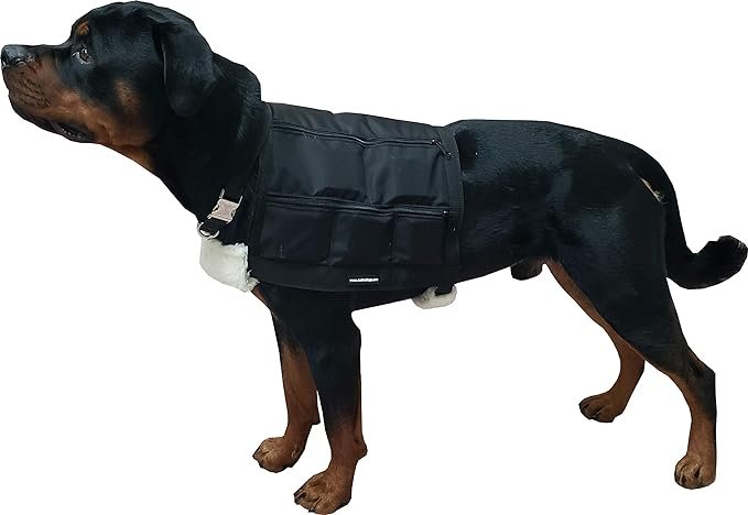 Dog-Weighted-Vests