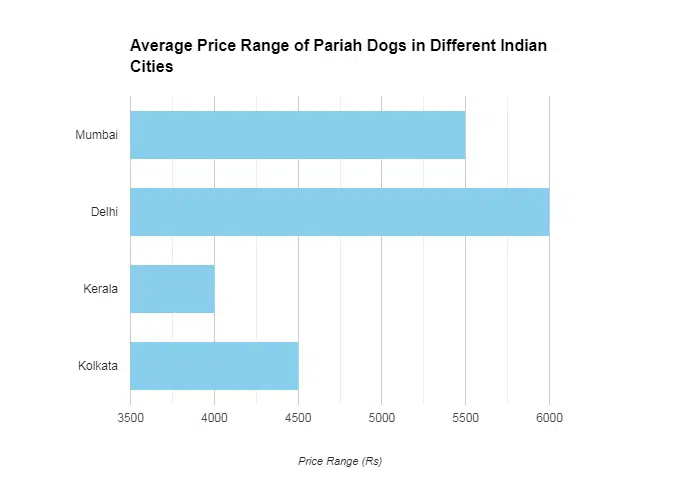 Indian-Pariah-Dog-Price
