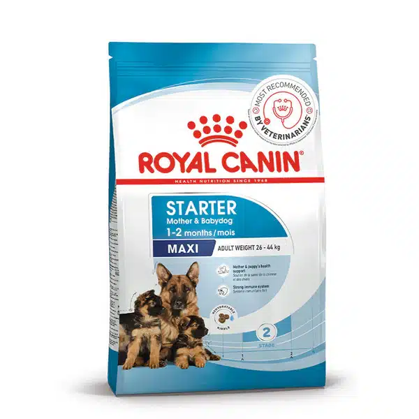 How to Feed Royal Canin Maxi Starter to a Puppy — A Real Owner's Step-by-Step Guide How to Feed Royal Canin Maxi Starter to a Puppy — A Real Owner's Step-by-Step Guide