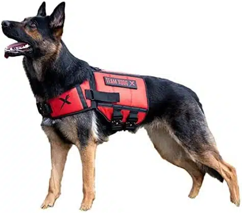 Best Weighted Vest for Dogs (2024) – Our 3 Filtered Picks!