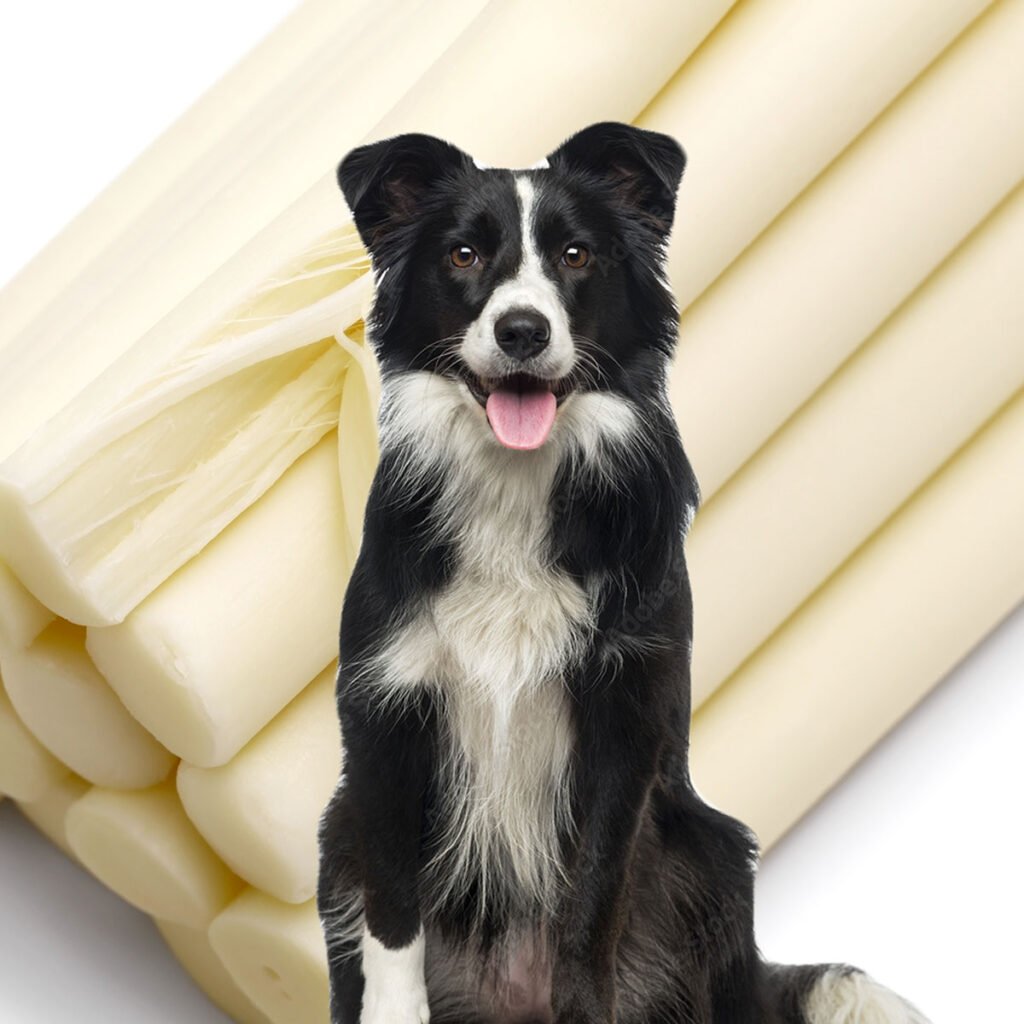 can-dogs-eat-string-cheese
