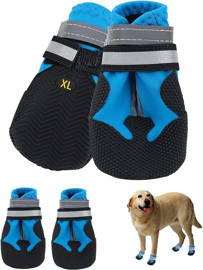4 Best Dog Boots for Injured Paws Waterproof in UK [Buyer Guide and Tips]